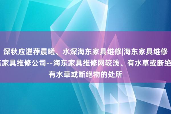 深秋应遴荐晨曦、水深海东家具维修|海东家具维修电话|海东家具维修公司--海东家具维修网较浅、有水草或断绝物的处所